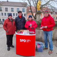 MdB Marianne Schieder mit Mitgliedern des Ortsvereins Waldmünchen